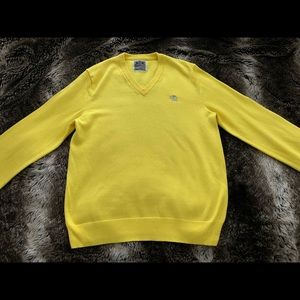 Express V-Neck Sweater